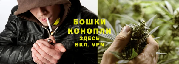a pvp Лиски
