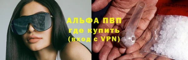молекула духа Магадан