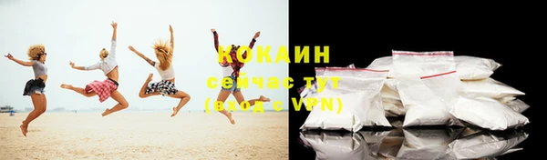 амф Магас