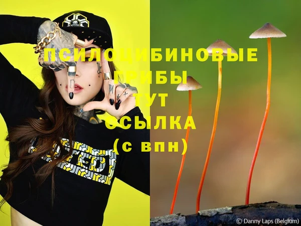 альфа пвп Майский
