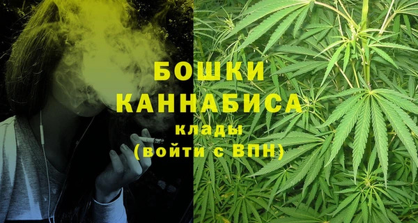 молекула духа Лабытнанги