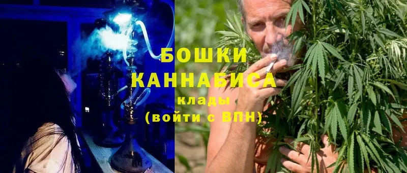 Бошки Шишки SATIVA & INDICA  магазин  наркотиков  Николаевск 